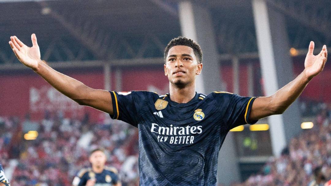 为的就是应 为的就是应