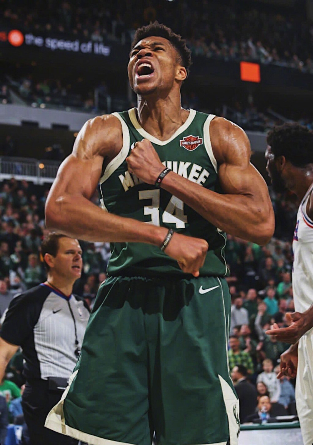 动与后排生 动与后排生